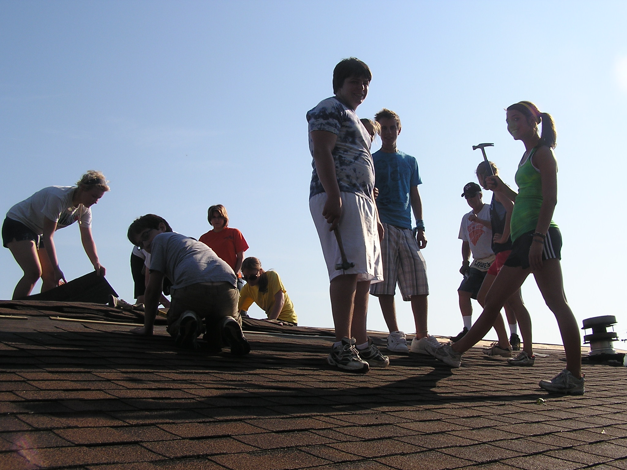 Cat ladies and vicous dogs