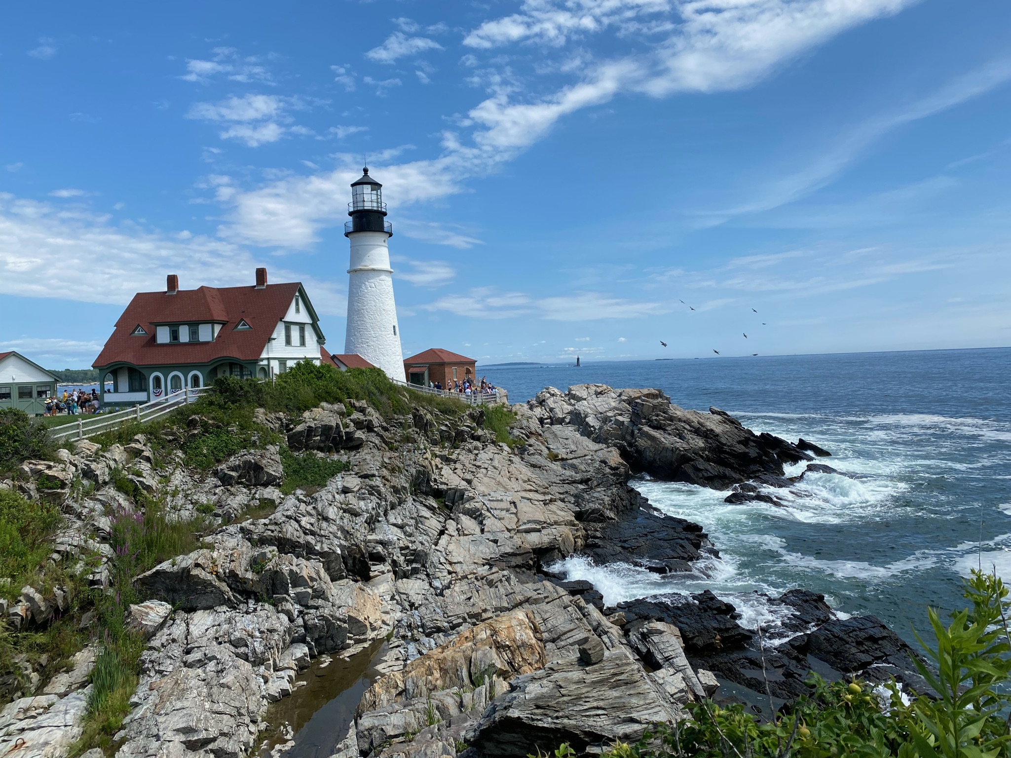 Too Much Testosterone